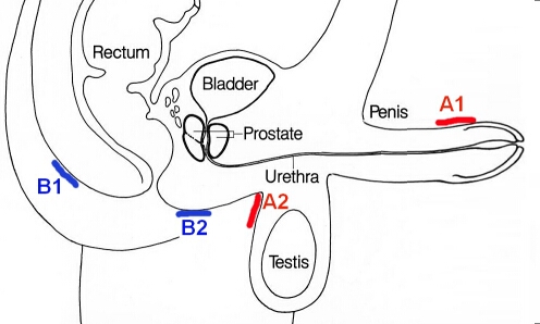 Prezentare generală